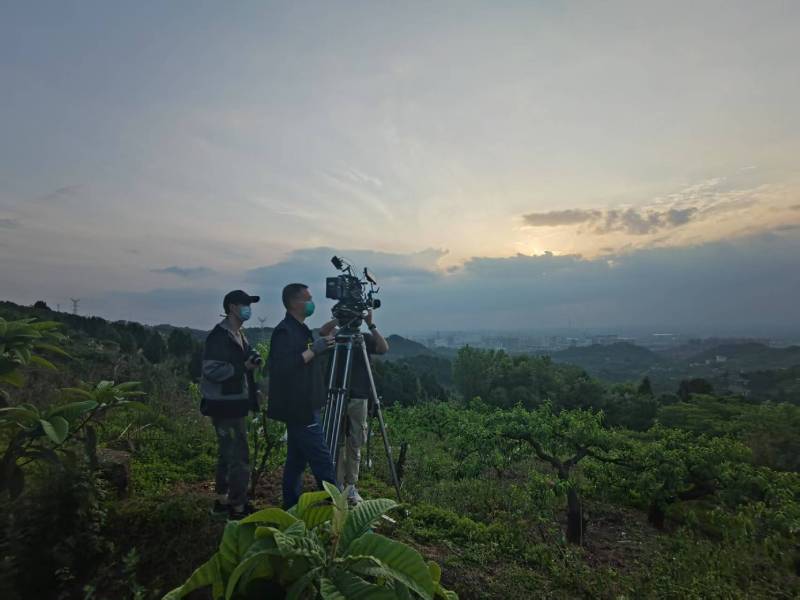 创意破圈！青冈县电商产品宣传视频用故事化叙事引爆流量