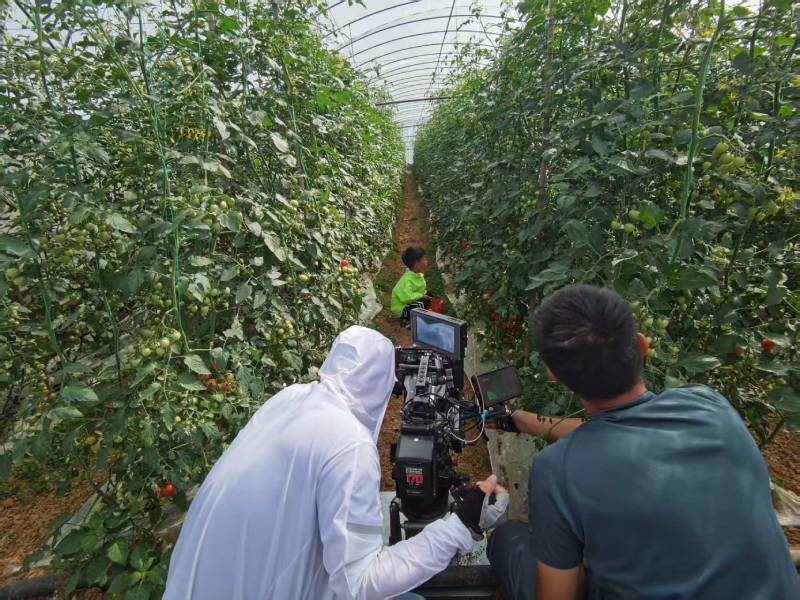 青冈县产品宣传视频拍摄公司进阶指南，助力品牌抢占传播高地